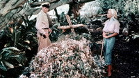 «Морская погоня (1955)» — обои к фильму #5