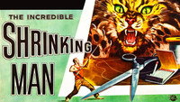 Обои к фильму «Невероятно худеющий человек (1957)» — (13 из 46)