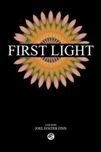Постер к фильму First Light (2020)