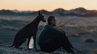 Обои к фильму «Чёрный пёс (2024)» — (36 из 42)
