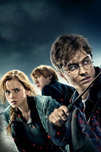 Постер фильма «Гарри Поттер и Дары Смерти: Часть I (2010)» — (7 из 136)