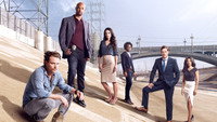 Обои к сериалу «Смертельное оружие (2016-2019)» — (13 из 31)