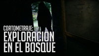 «Trágica exploración en el Bosque (2017)» — обои к фильму #1