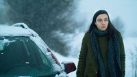 «Снег и медведь (2022)» — обои к фильму #9