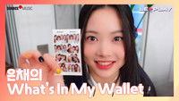 Eunchae's What's In My Wallet | Show off your favorite Polaroid photos~