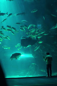movie-images