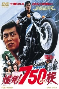 爆発！７５０ｃｃ族 (1976)