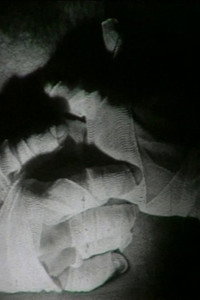 La guardia nazionale e i cretini amari