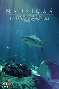 Nausicaá : dans les coulisses du plus grand aquarium d'Europe