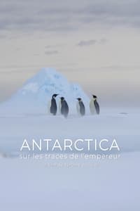 Antarctica, sur les traces de l'empereur (2016)