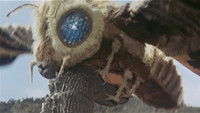 Mothra contre Godzilla