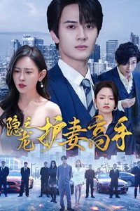 隐龙之护妻高手