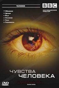 copertina serie tv Human+Senses 2003