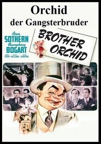 Movieposter Orchid, der Gangsterbruder
