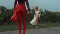 «Мазурка барона, святой девы и фигового дерева (1975)» — обои к фильму #1