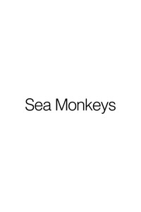 Sea Monkeys