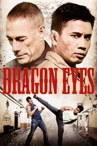 Download Dragon Eyes (2012) Dual Audio {Hindi-English} BluRay 480p [280MB] | 720p [970MB] | 1080p [1.6GB]