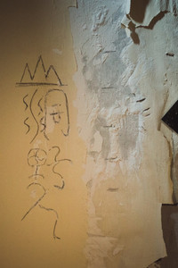 Poster de 山洞野人