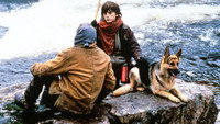 «Побег из Уайлдкэт-Каньон (1998)» — обои к фильму #1