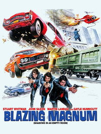 Постер фильма «Специальный магнум для Тони Саита (1976)» — (8 из 13)