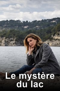 Le Mystère du lac (2015)