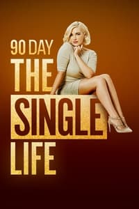 tv show poster 90+Day%3A+The+Single+Life 2021