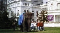 «Un elefante en banda (1990)» — обои к фильму #1