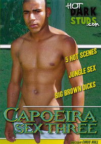 Imagem do Filme Capoeira Sex 3