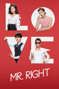 tv show poster Mr.+Right 2018