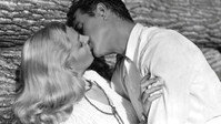 «La trampa (1949)» — обои к фильму #1