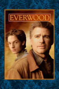 Постер сериала «Любовь вдовца (2002-2006)» — (5 из 34)
