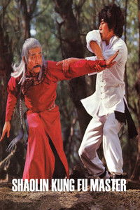Shaolin Kung Fu Master