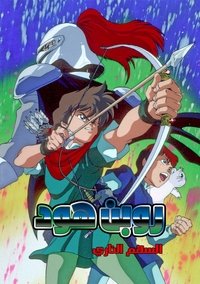 copertina serie tv Robin+Hood 1990