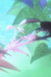 Imagem do Filme Naturellement