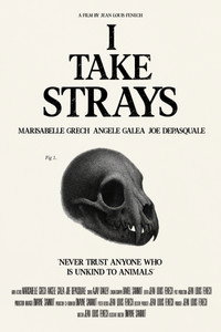 I TAKE STRAYS