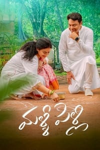 మళ్ళీ పెళ్ళి