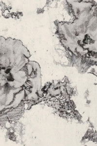 Imagem do Filme Placeholder