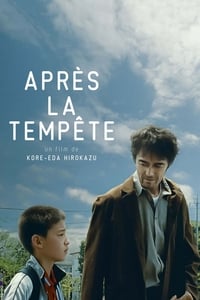 Après la tempête (2016)