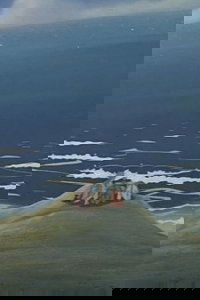 movie-images