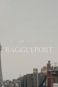 Poster de Two Hairdressers in Bagglyport