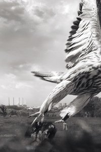movie-images