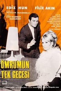 Постер фильма «Ömrümün Tek Gecesi (1968)» — (2 из 5)
