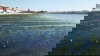 Mar Urbano Lisboa