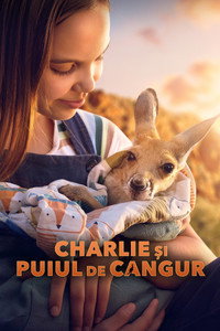 Charlie și puiul de cangur