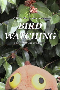 Birdwatching (2025) poster