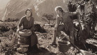 «The Great Meadow (1931)» — обои к фильму #1