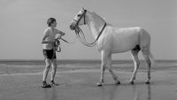 The Boy Who Loved Horses