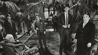 «Девушка-гангстер (1966)» — обои к фильму #2