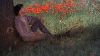 «Брат Солнце, сестра Луна (1972)» — обои к фильму #1