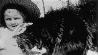 «Le déjeuner du chat (1895)» — обои к фильму #1